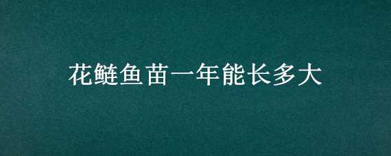 花鲢鱼苗一年能长多大