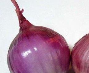 紫色洋葱的功效与作用 生吃紫色洋葱的功效与作用
