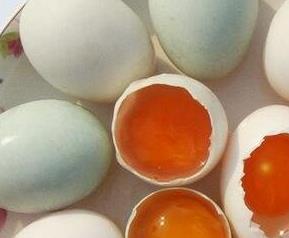 鸭蛋不能和什么一起吃 鸭蛋不能和什么一起吃会中毒
