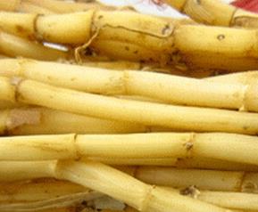 芦根的功效与作用以及食用方法 芦根的功效及用途