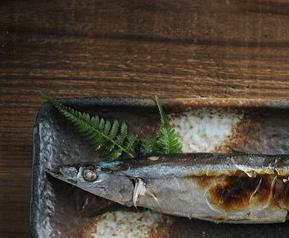 秋刀鱼不能和什么一起吃 秋刀鱼不可以和什么一起吃