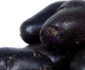 黑土豆的功效与作用 黑土豆的功效与作用禁忌