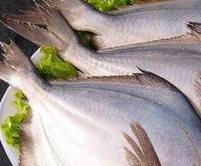 鲳鱼的营养价值与食用功效 鲳鱼的营养价值与食用功效一样吗