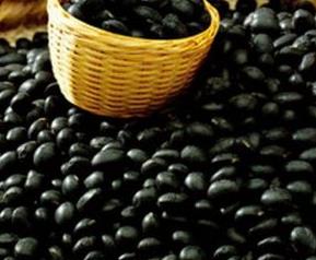 黑豆的功效与作用 黑豆的功效与作用排卵