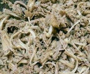 羊肉金针菇的功效与作用 羊肉和金针菇