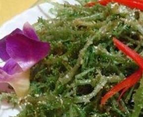 鹿角菜和珊瑚草的区别 珊瑚草 龙须菜 鹿角菜