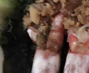 阿根廷大虾的营养价值（阿根廷大虾的营养价值和功效）