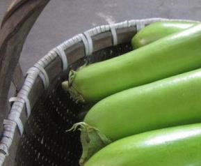 绿茄子的营养价值与功效 绿茄子营养功效与作用