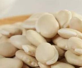 白扁豆的功效与作用 白扁豆的功效与作用禁忌