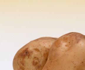 土豆的食疗功效与用法（土豆的食疗功效与用法窍门）