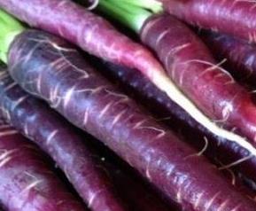 紫色胡萝卜的营养价值