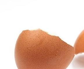鸡蛋壳能吃吗（鸡蛋壳能吃吗补钙吗）