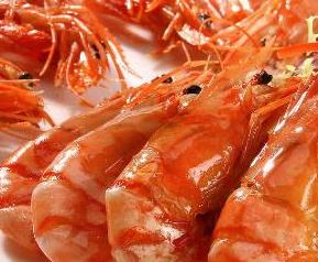 吃海虾的功效与作用 海鲜虾的功效与作用