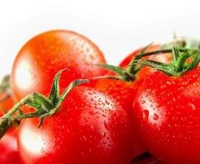 吃西红柿的好处与功效作用 吃西红柿的好处与功效作用及禁忌