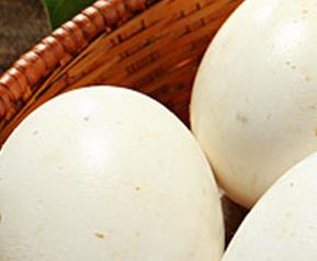 鹅蛋的药用价值与功效 鹅蛋的药用价值及功效
