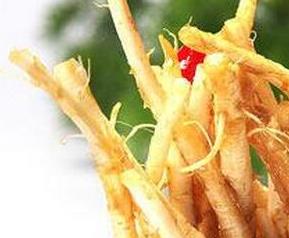香菜根的功效与作用 香菜根的功效与作用及营养价值