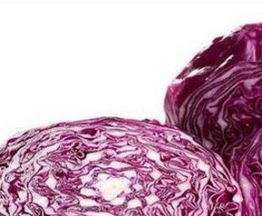 紫心包菜的营养价值 紫心包菜的营养价值和功效