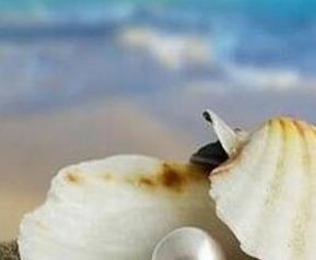 珍珠蚌壳的药用价值 珍珠蚌的壳有什么用