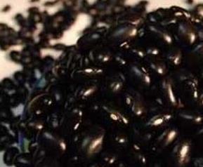 白醋泡黑豆有什么功效 白醋泡黑豆有什么功效和作用