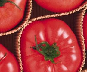 西红柿的营养价值及食用方法 西红柿的营养价值及作用