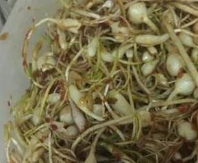 正宗的小根蒜腌制步骤教程 大蒜根怎么腌制