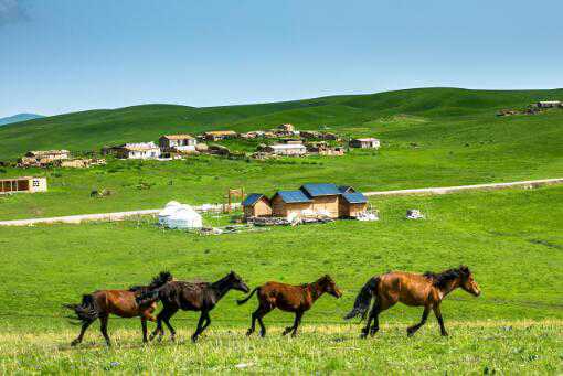 新疆家庭农场注册条件有哪些（新疆家庭农场注册条件有哪些种类）