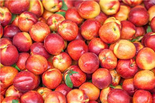 油桃的营养价值及功效与作用是什么