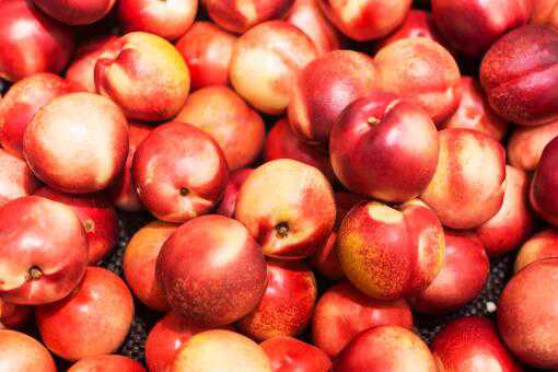 各地油桃几月份成熟上市 油桃上市季节
