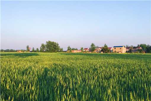 第七批农业产业化国家重点龙头企业申报