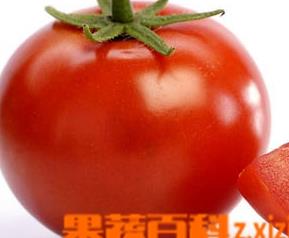 番茄的营养价值与做法（番茄的营养和作用）