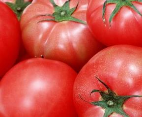 小番茄种植方法技巧（小番茄种植方法和注意事项）