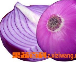 紫洋葱的功效与作用 紫洋葱的功效与作用及食用方法