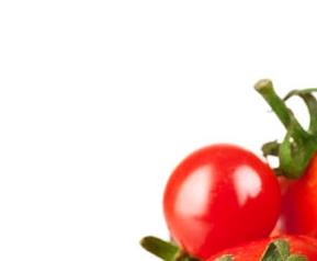 番茄灰霉病防治法 番茄灰霉病综合防治技术