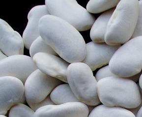 白扁豆的各种做法及营养 白扁豆的各种做法及营养成分