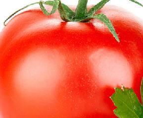 吃番茄的注意事项 吃茄子的注意事项