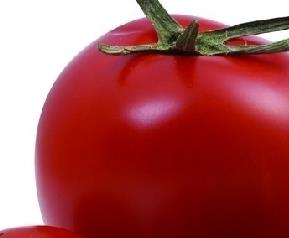 番茄种子留种方法步骤 茄子种子怎么留方法