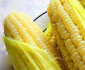 鲜玉米怎么保存 鲜玉米怎么保存到冬天吃