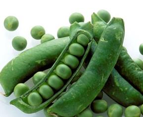 菜豌豆的营养价值 菜豌豆的营养价值和功效