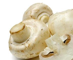 怎么辨别蘑菇是否有毒（如何辨别蘑菇是否有毒?）