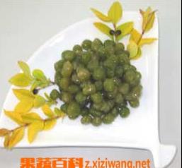 青豌豆食疗功效和营养价值 青豌豆食疗功效和营养价值及禁忌