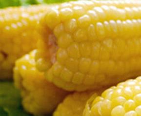 夏季怎么保存煮熟的玉米 夏季怎么保存煮熟的玉米棒