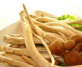 鲜茶树菇的营养价值和吃法 新鲜茶树菇的功效与作用及食用方法