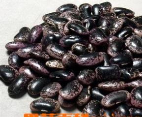芸豆和黑豆的区别 芸豆和黑豆的区别图片