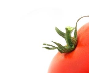吃番茄注意事项,来看看吃西红柿的学问