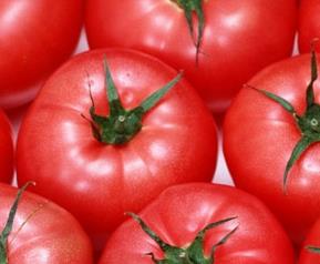 不同颜色番茄的养价值 水果番茄和普通番茄的营养价值一样吗