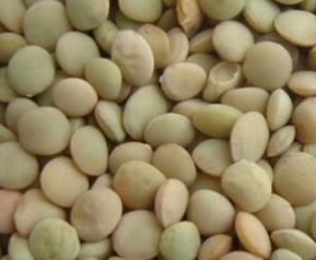 小扁豆的营养价值和功效 小扁豆的营养与功效