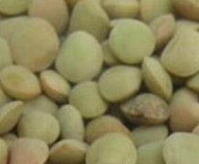扁豆籽的功效与作用 扁豆籽的功效与作用及禁忌