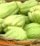 佛手瓜的营养价值和功效作用 佛手瓜的功效与营养与价值