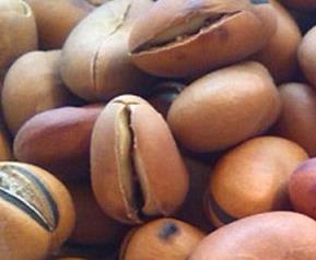 硬蚕豆怎么做好吃 蚕豆硬了怎么做好吃