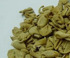 扁豆衣的功效与作用 扁豆的功效与作用的功能与主治